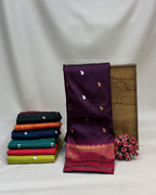 Silk Paithani Saree with Contrast Blouse
