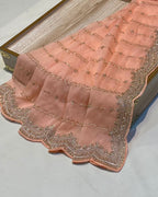 Aboli Colour Shimmer Georgette Saree with Bead Work
