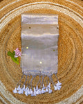 Cream-Silver Colour Raga Tissue Silk Saree