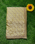 Light Sage Green Colour Fandy Satin Silk Saree with Bead Work